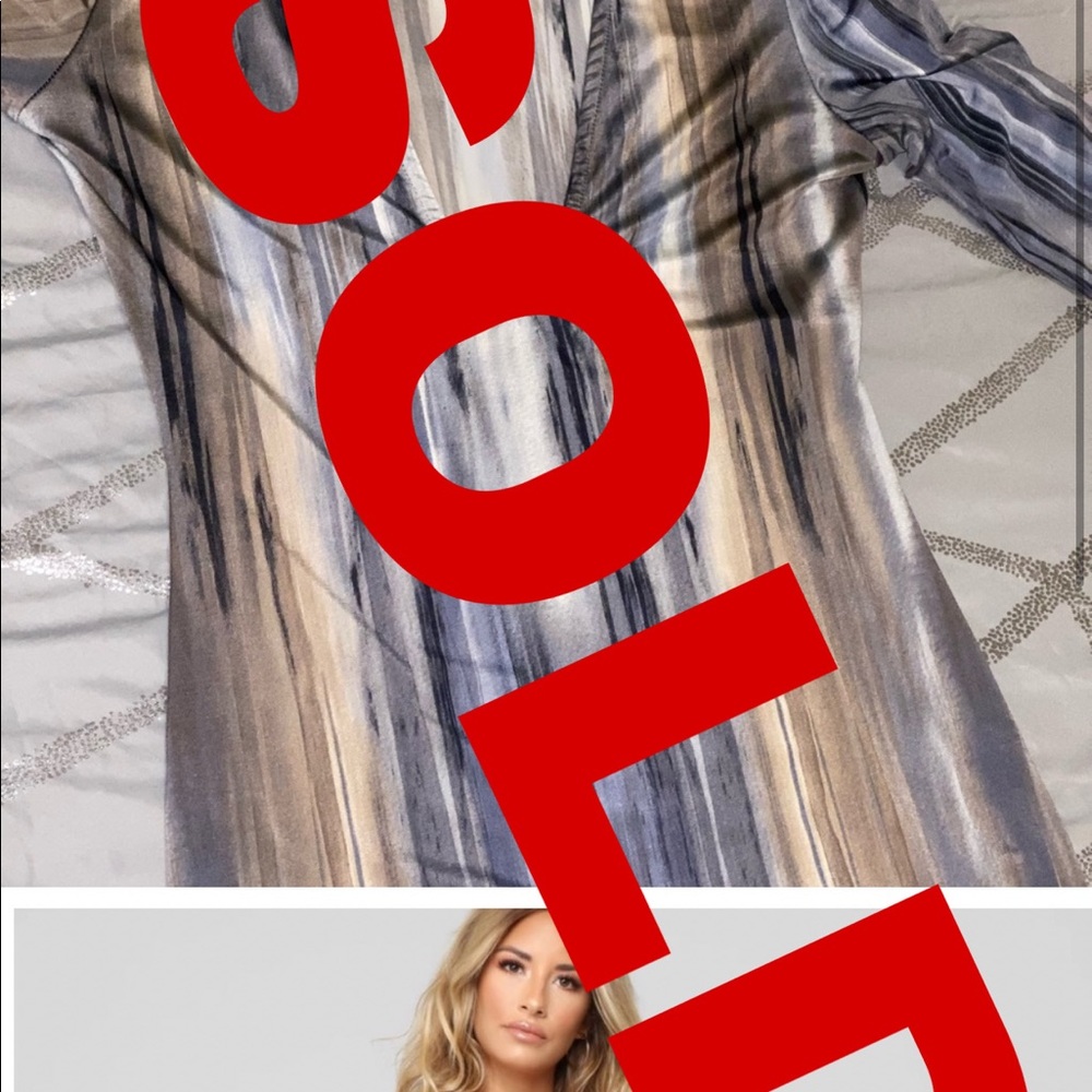 Portrait Of Our Love Dress (fashion nova)